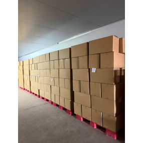 album 01 (1) (1) (1) (1)