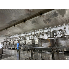 album 01 (1) (1) (1)