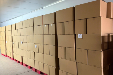 album 01 (1) (1) (1) (1)