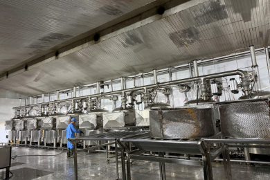 album 01 (1) (1) (1)