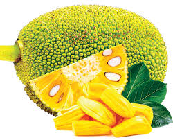 Tiếp nhận & phân loại nguyên liệu 