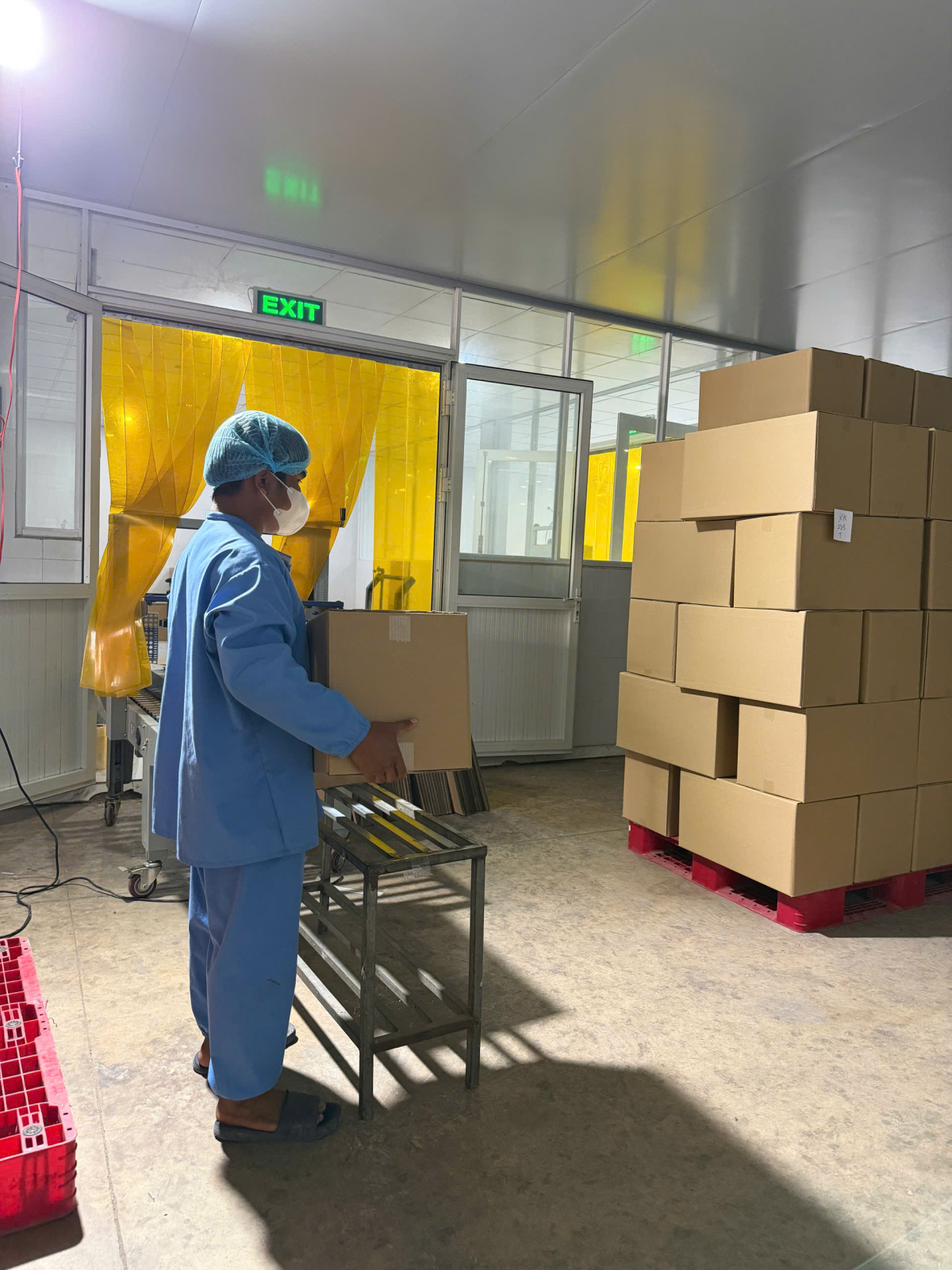 Kiểm tra chất lượng & dò kim loại